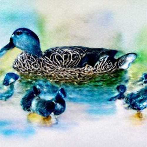 Deploy Prefect Pipelines with Python: Perfect! 🐍 | by Jeff Hale | The ...