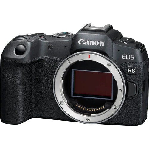 Canon EOS R8: Unveiling a Powerful Full-Frame Option (USA)
