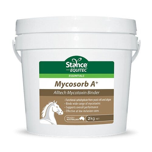 Does Your Horse Need Gut Health Support?