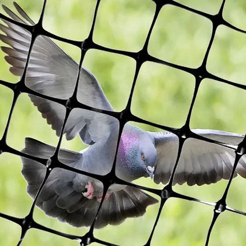 How to Choose the Best Pigeon Net in Noida A Comprehensive Guide by