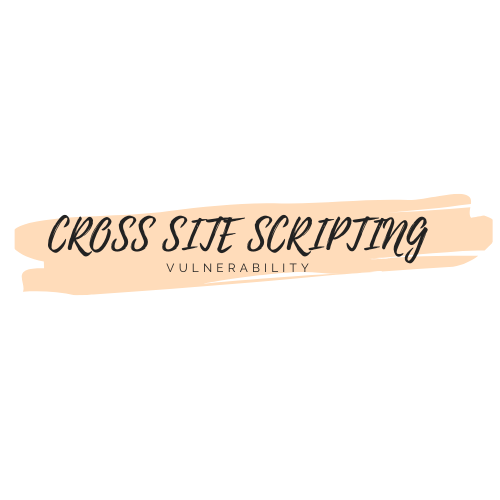 Reflected Cross Site Scripting (XSS), by Steiner254