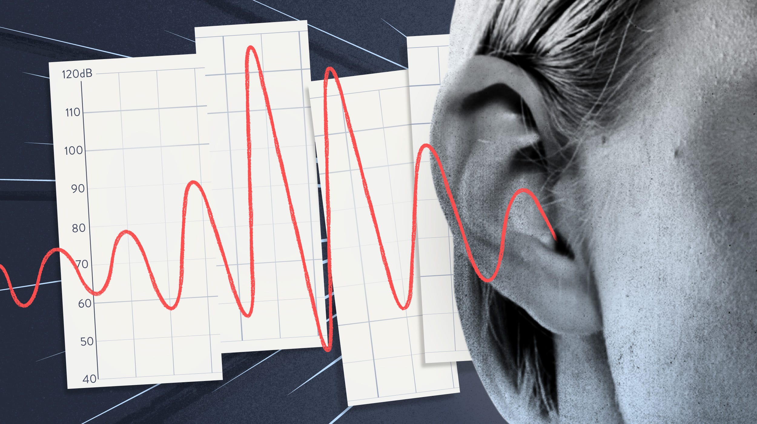 Wired for Sound: A Journey Into Hearing