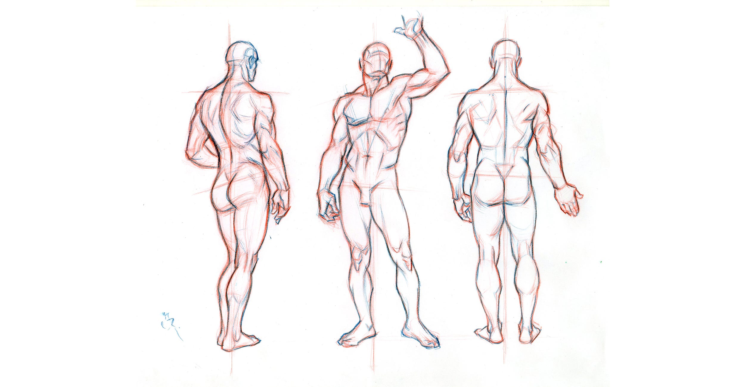 Beginner´s Guide; Importance of Proper Body Proportions and How to