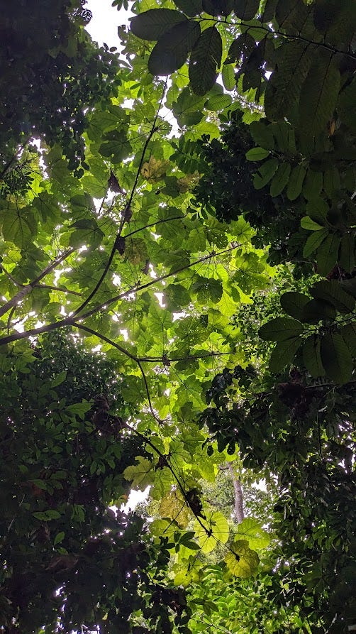 Asia. Just got back from a super trip to… by Dr