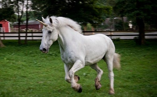 Startup Accelerators Chase Unicorns and Produce Zombies En Masse