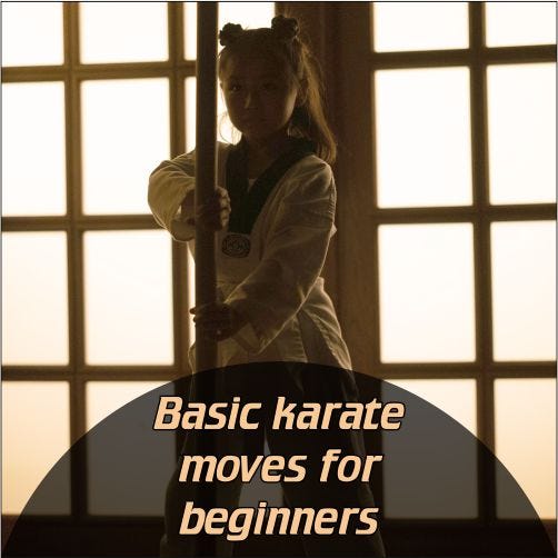 Basic karate moves for beginners Medium