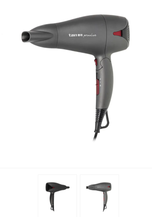 Removable Air Filter Ionic Function Hair Dryer Taili Electric Medium