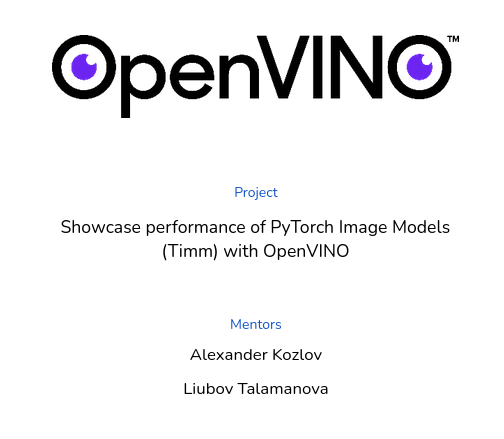 1100+ Timm models integration to OpenVINO™: Google Summer of Code 2023 Experience