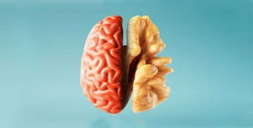 healthy-new-brain-food-for-university-students-in-stress-by-shanzy