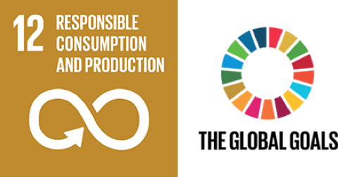 Why Sustainable Development Goal 12 is worth addressing? | by Reza Fatima |  Medium