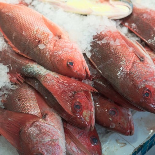 History of Frozen Food — British Frozen Food Federation Freshfromthe