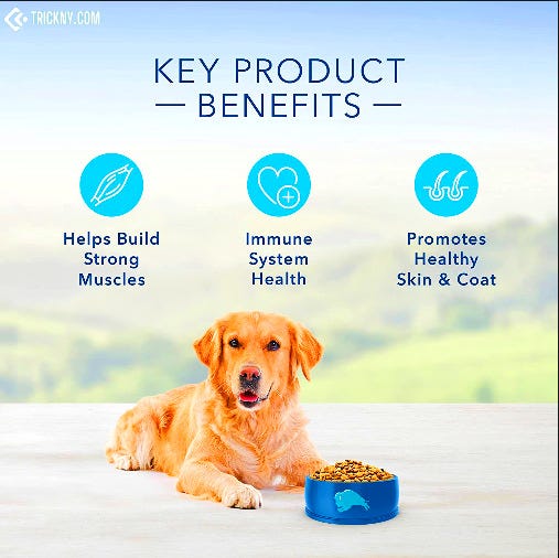 Top 5 — 1 Best Dog Foods 2022 — by vets? by Government Job Medium