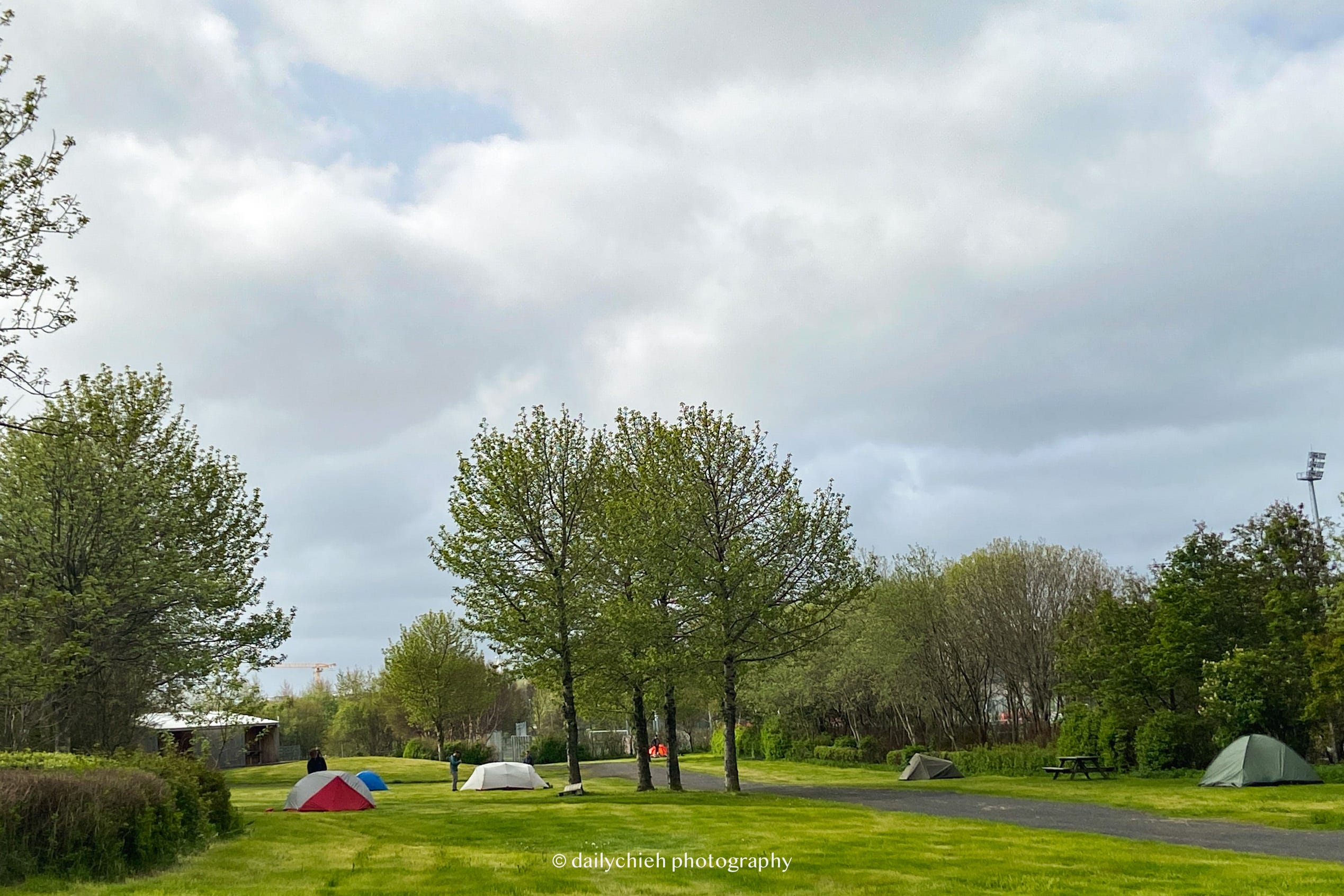 Reykjavík Campsite 草地營區