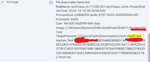 Detections for the payload