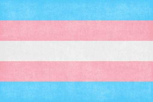 Visibilidade Trans: 10 séries com protagonismo transgênero