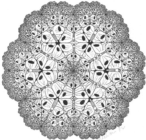 Differentiation and how it could be the reason why reality exists