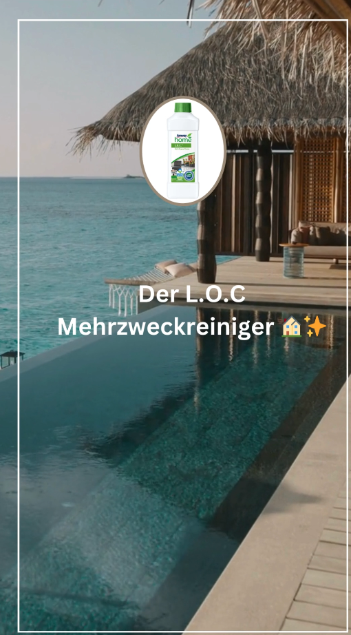 Der L.O.C Mehrzweckreiniger