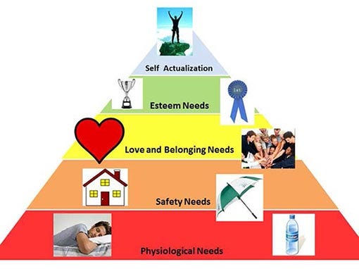 professional-hierarchy-of-expectations-by-melissa-wong-medium