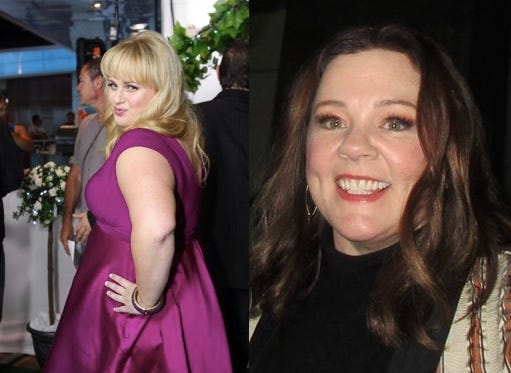 Melissa Mccarthy Porn - Rebel Wilson and Melissa McCarthy Fight to the Death Over Role of Bumbling  Idiot | by Kyle Qualls | The Journal Post Times | Medium