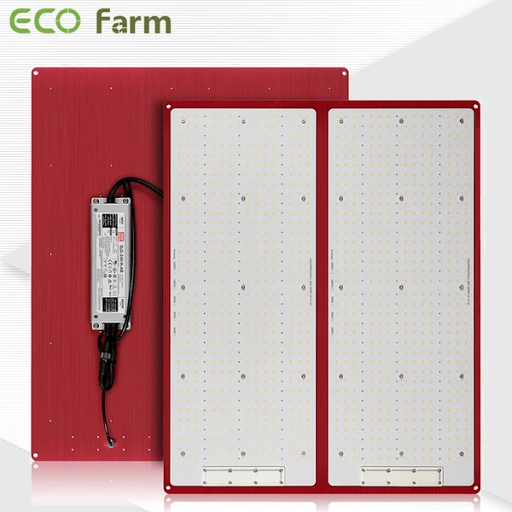 The Ultimate Guide on How to Choose the Best Quantum Board LED Grow