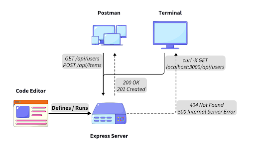 Testing Your Express API Locally: Postman vs curl for Beginners