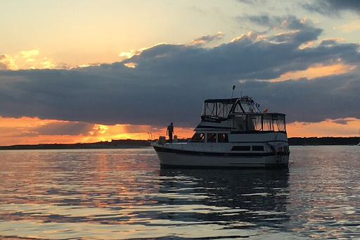 Explore The Types Of Boat Tours In Cape Code - James Smith - Medium