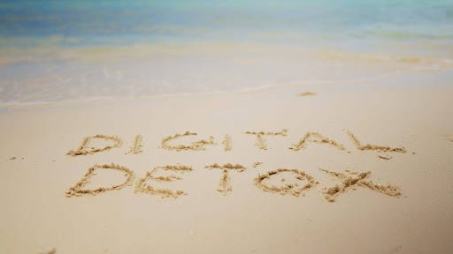 Digital Detox — How Our Chalets Help You Reconnect with Nature