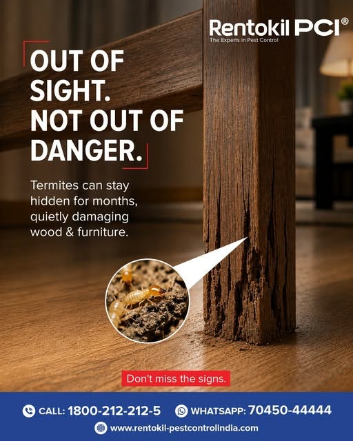 Why Every Homeowner Should Take Termite Prevention Seriously