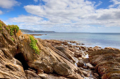 The Ultimate Guide to Rock Pooling with Children in Cornwall