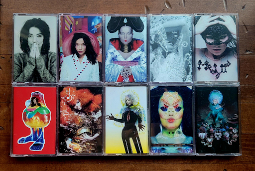 a björk que é uma grande artista