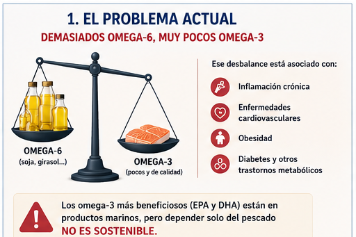 Más omega-3 y menos inflamación: así cambia la carne gracias al Echium plantagineum