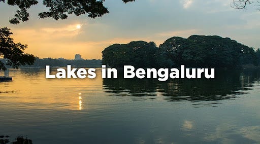 Bengaluru’s Dying Lakes: A Call to Act Before It’s Too Late