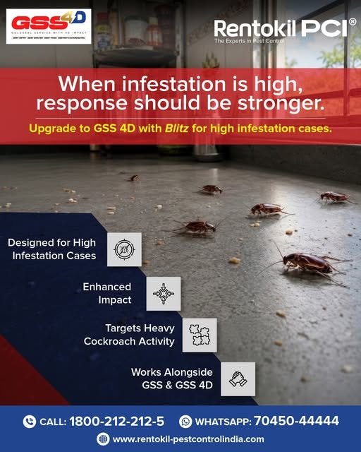 Best Ways to Handle Severe Cockroach Infestations Before They Spread