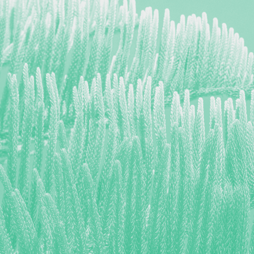 The Supply Chain must turn Bio Circular