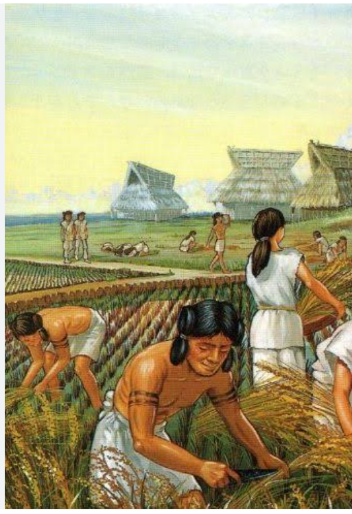Neolithic Age Agriculture neolithic-age-agriculture