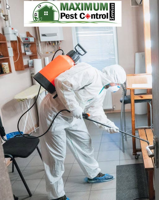 Image showcasing Expert-Approved Safe Pest Control Solutions for Families and Pets By ...