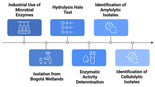 Microorganisms from Bogotá Wetlands Show Industrial Potential
