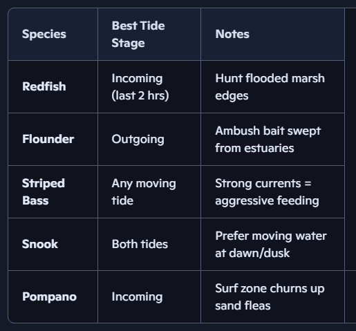 How U.S. Anglers Can Use Tide Charts to Catch More Fish