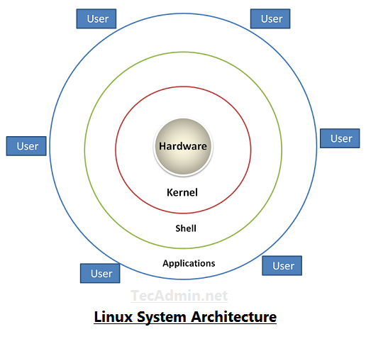 Basics of Shell Scripting ~ Part 1 | by Unnati gupta | Sep, 2024 | Medium
