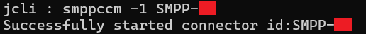 SMPP connector successfully started