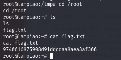 root flag