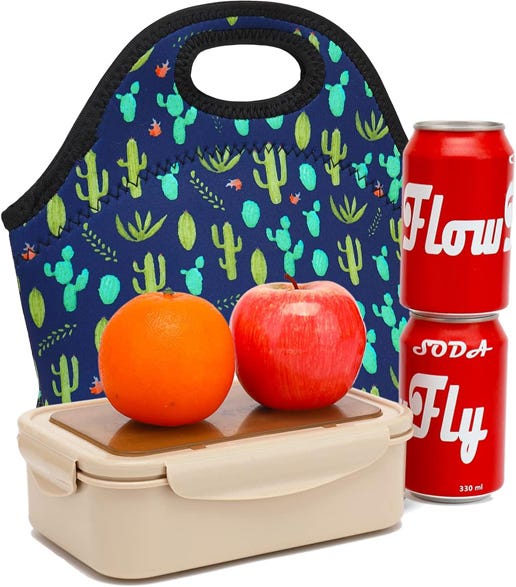 How do you keep food cold for school lunch? by OneierEric Medium
