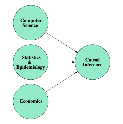 Why do we need causality in data science? by Aleix Ruiz de Villa