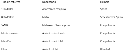 Sistema Aeróbico y Anaeróbico en el Running: Cómo Funciona el Motor del Corredor