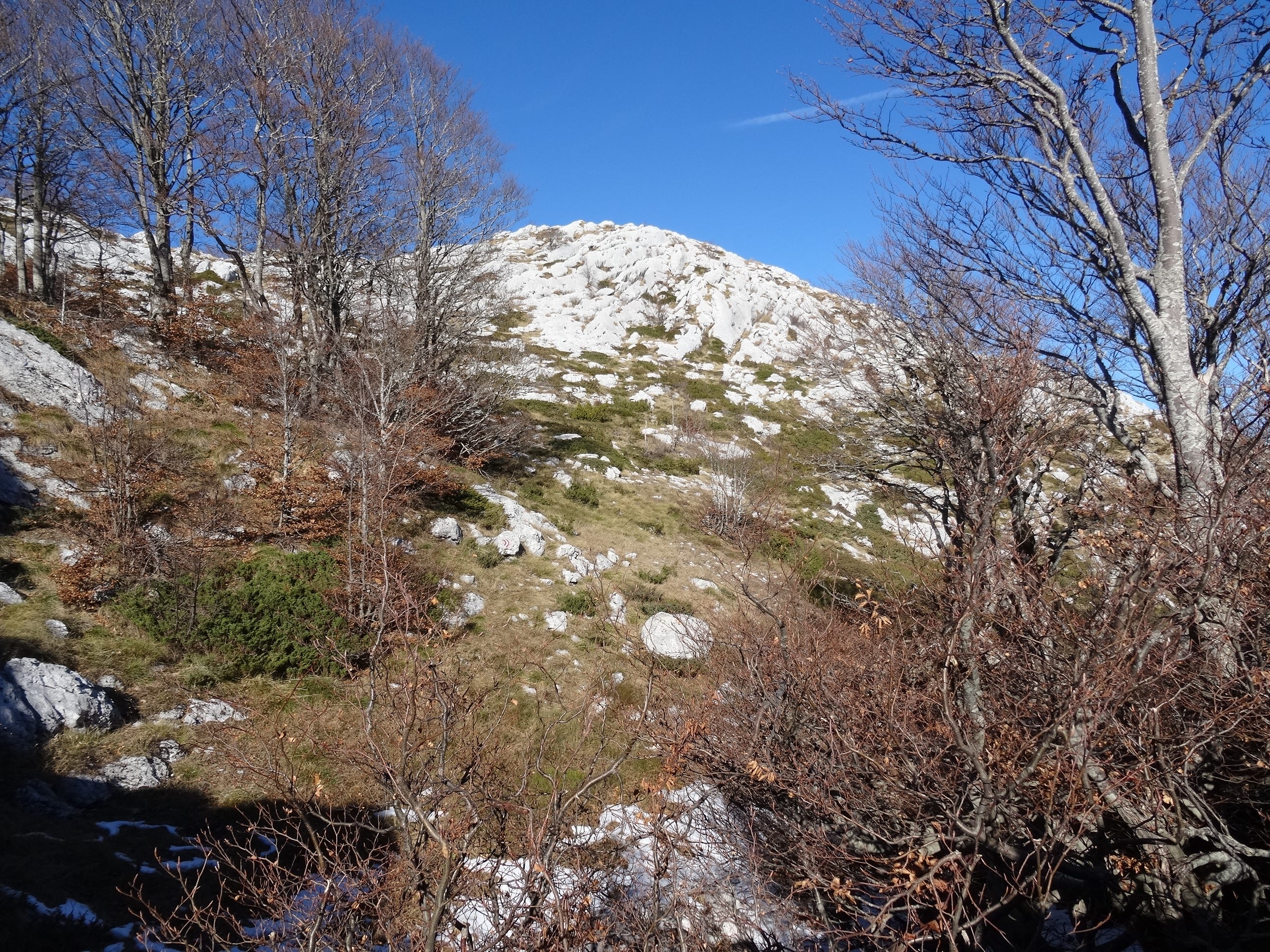 Vojnik, The Peak Golopus at 1.744 m.a.s.l. | by Predrag Popović | VRHOVI  CRNE GORE - PEAKS OF MONTENEGRO | Medium