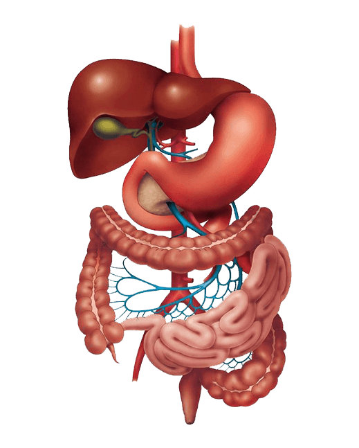 Gastroenterologist in Pimple Saudagar Gastrohubhospital Medium