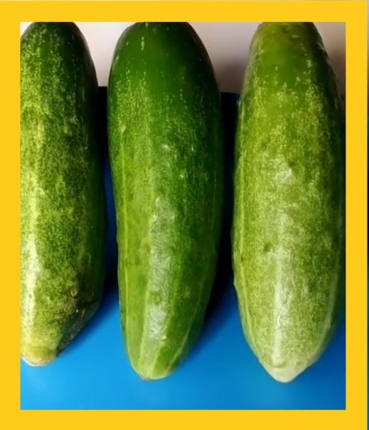 Certainly! Here’s the translation of the above information about