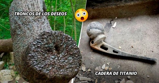 14 Personas que encontraron cosas bastante extrañas y que no se ven todos los días