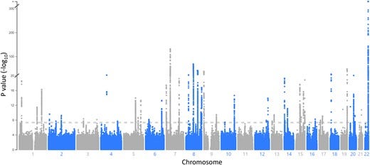 This figure shows a genome-wide scan comparing thousands of people with and without Dupuytren’s disease using data from UK Biobank, FinnGen, and Michigan Genomics Initiative, highlighting the genetic variants most strongly linked to the condition (Richard Ågren et al., 2023)