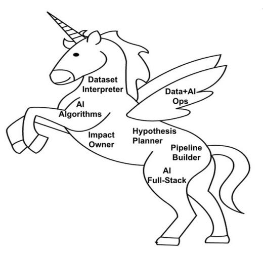 How to Build a Unicorn AI Team without Chasing Unicorns | by Sandeep ...